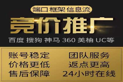 网络推广中的竞价广告：成功案例解析